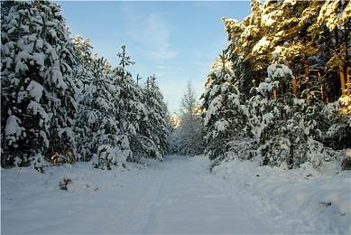 《街头霸王6》角色皮肤定价过高引玩家愤怒声讨